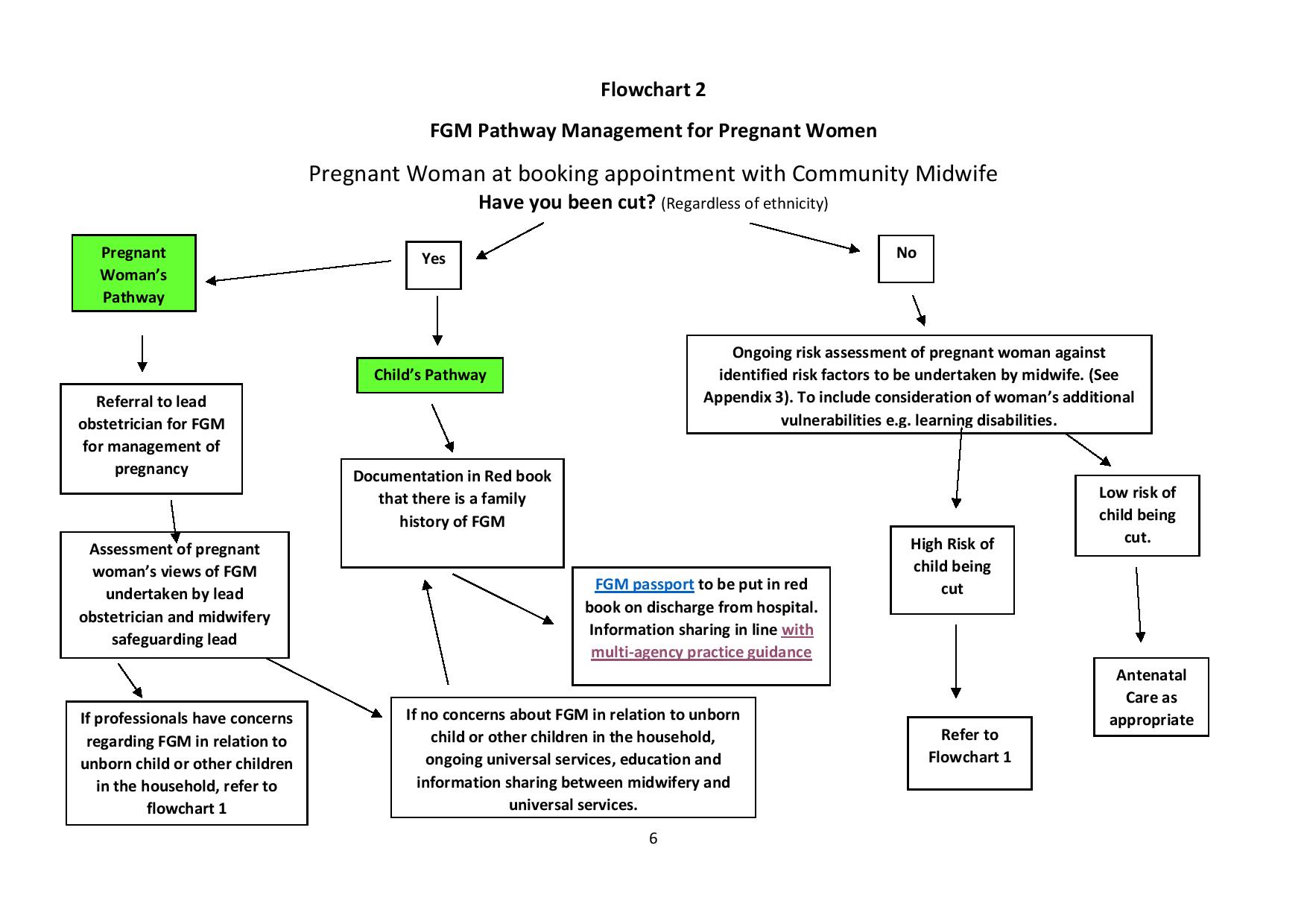 Practice Guidance For Practitioners On Female Genital Mutilation Page